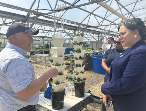 Rep. McClellan stands in greenhouse of VCU Randolph Farm