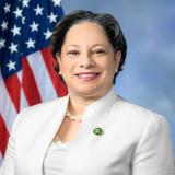 Official Portrait of Congressman McClellan in front of US Flag