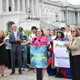 Photo of Rep. McClellan speaking at the Roadless Rule presser.