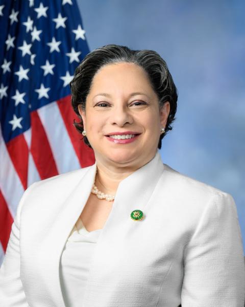 Official Portrait of Congressman McClellan in front of US Flag
