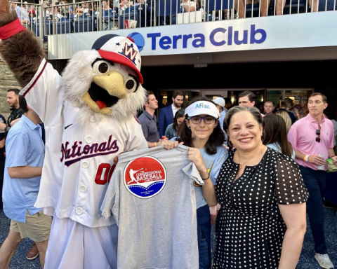Congressional Baseball Game
