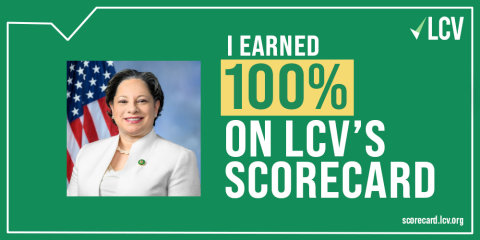 LCVscore