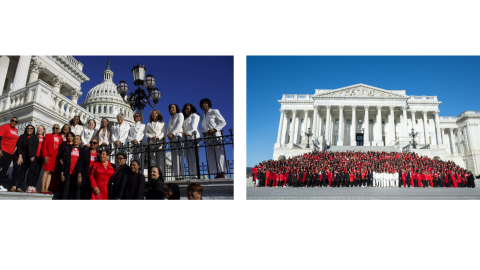 Photo of Rep. McClellan and Delta Sigma Theta sorors on the Capitol steps.