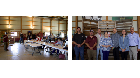 Photos of Henricopolis farm tour.